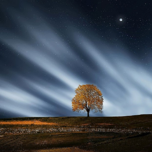 操逼欧美性生活
